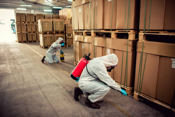 Best Affordable Pest Control Services  in South Bradenton, FL