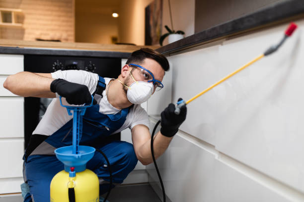 Reliable South Bradenton, FL Pest Control Solutions