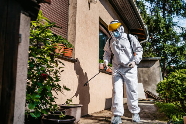 Best Bird Control  in South Bradenton, FL
