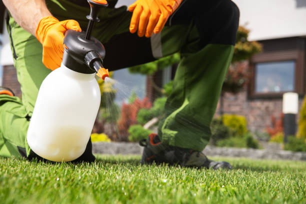 Best Pest Control Treatment  in South Bradenton, FL