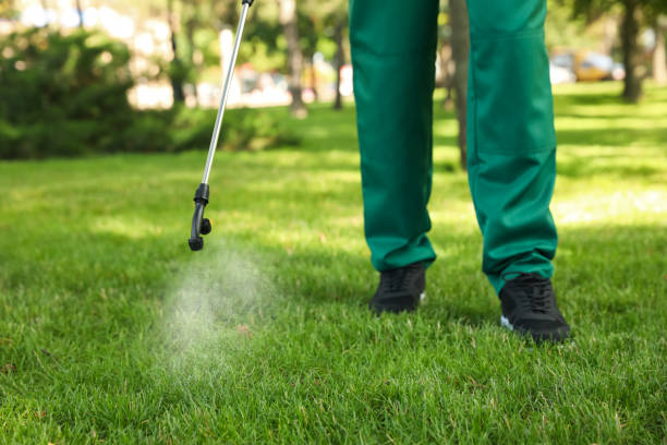 Best Mosquito Control Services  in South Bradenton, FL