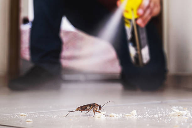 Best Commercial Pest Control Services  in South Bradenton, FL