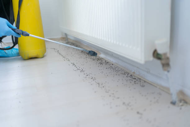 Best Bed Bug Extermination  in South Bradenton, FL