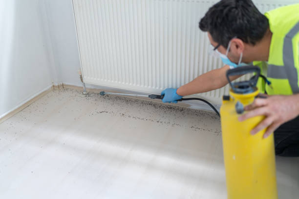 Best Affordable Pest Control Services  in South Bradenton, FL